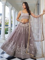 Dusty Brown Butterfly Net Lehenga Choli